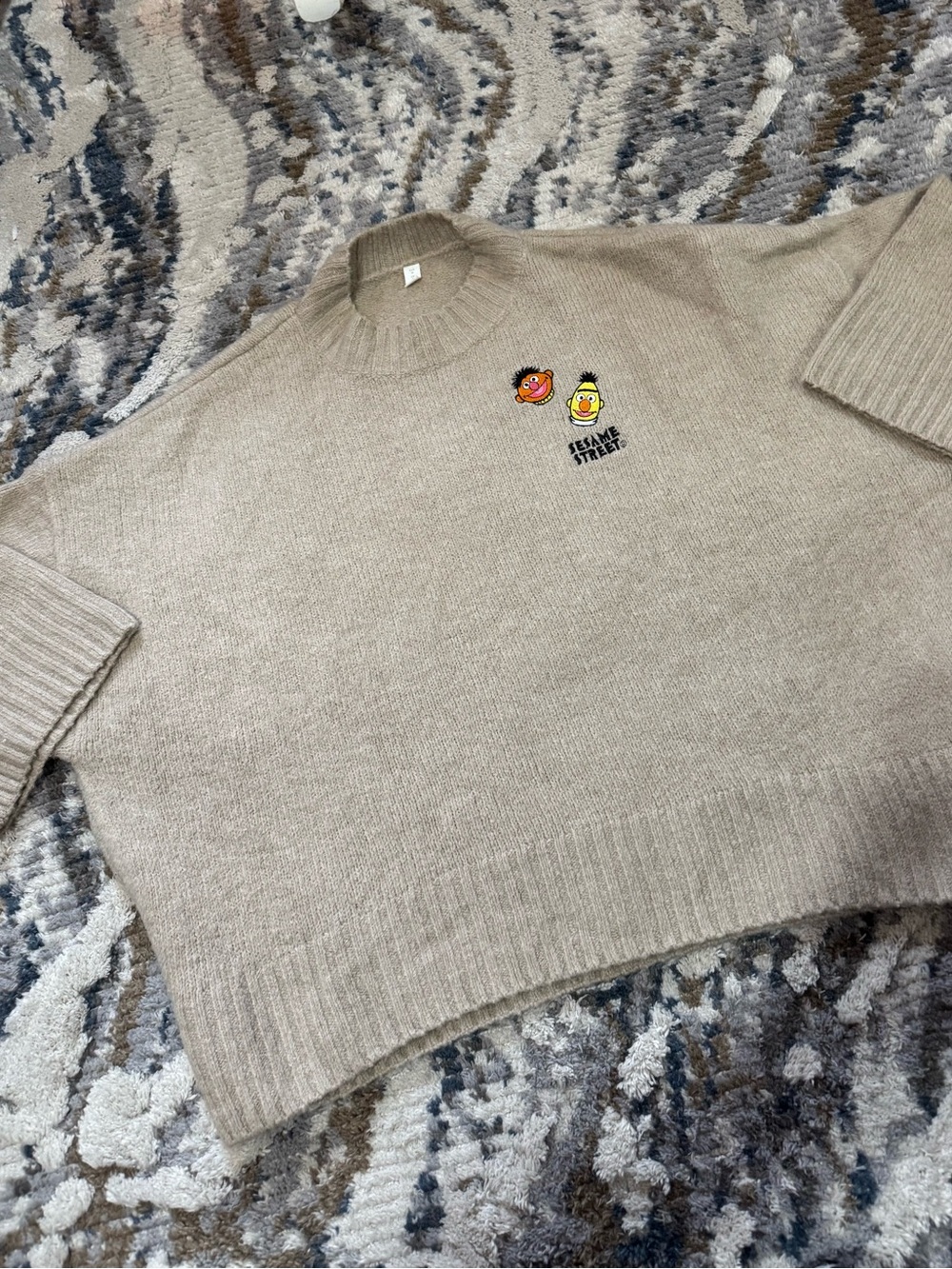 Sesame Street Beige Turtleneck Sweater with Ernie & Bert Embroidery